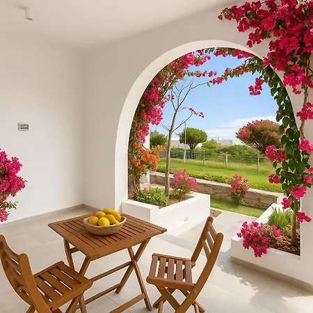 Nostalgia Paros Seaside Lejlighed